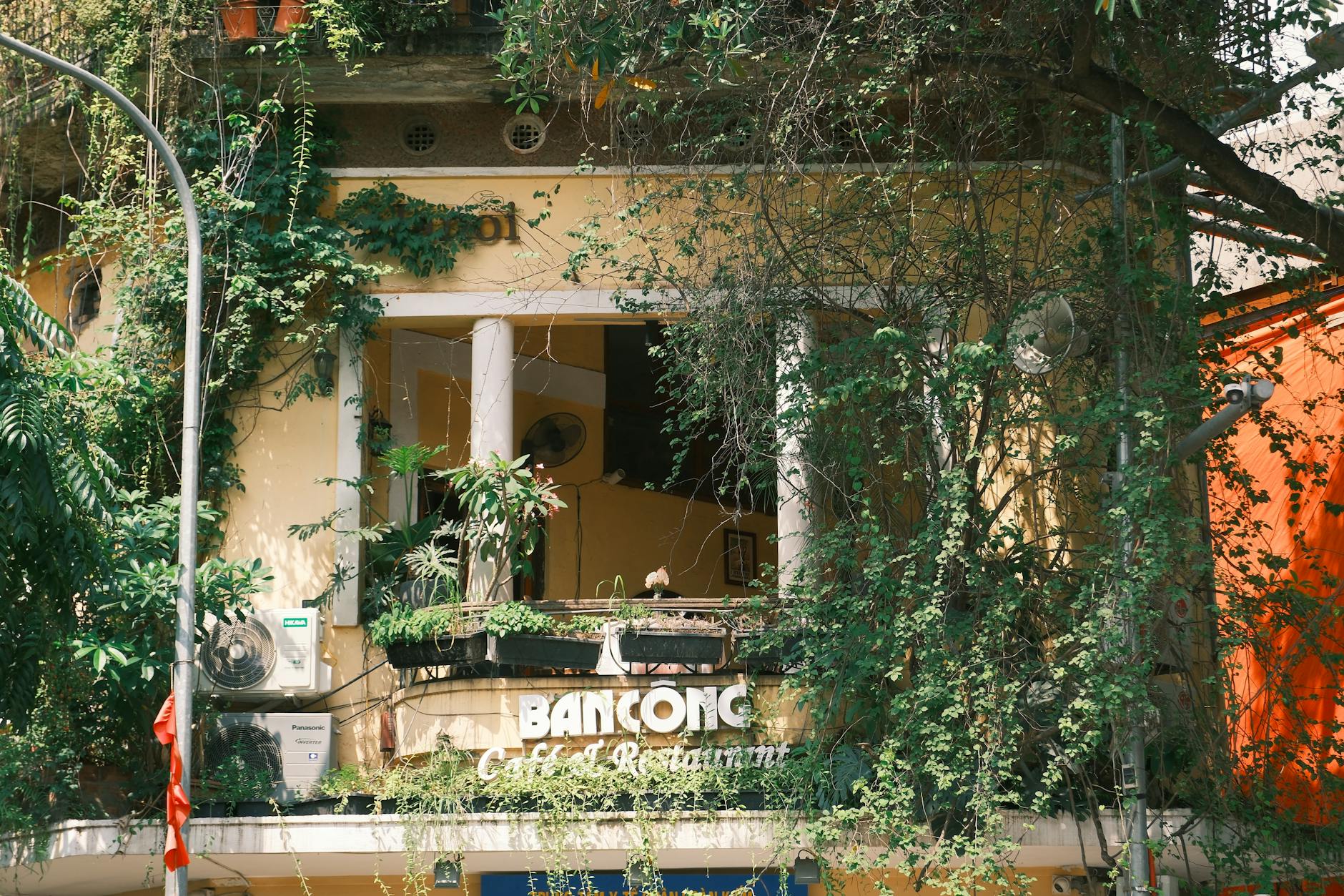 Hanoi for Solo Travelers: Complete Safety, Hostel & Activity Guide (2026) 4 Charming Hanoi cafe surrounded by vibrant greenery and vintage architecture
