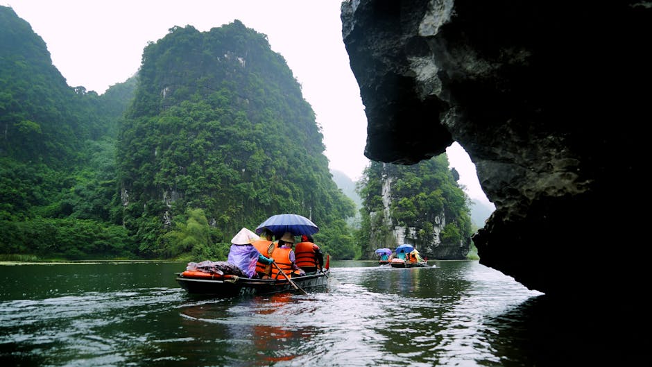 Vietnam karst landscape with green rice fields