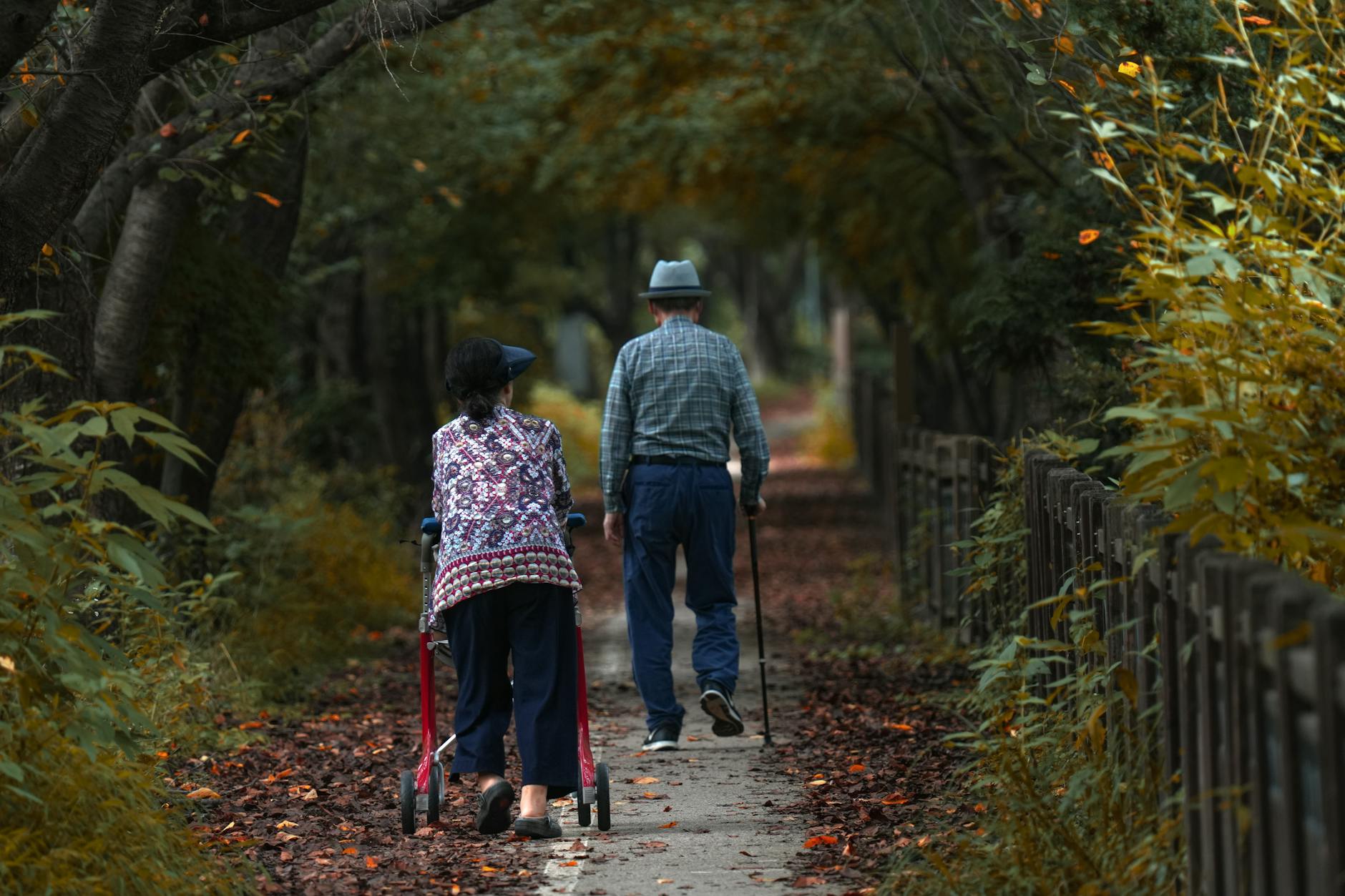 Asian elderly couple strolling through a serene forest path