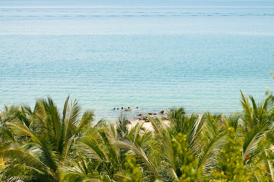 Pristine tropical beach with palm trees and clear blue water