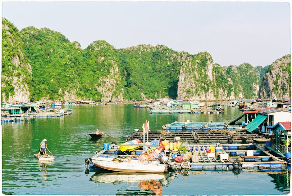Floating fishing village in Cat Ba island Vietnam