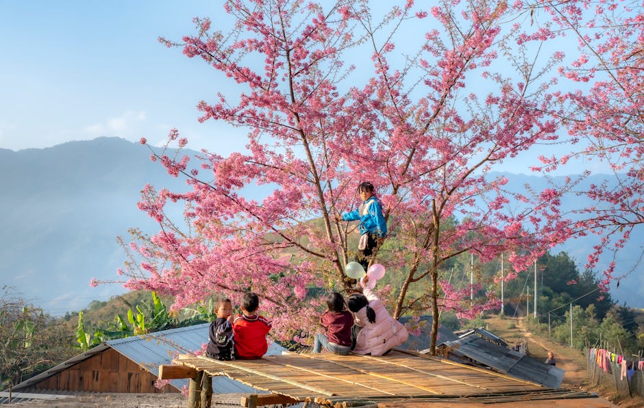 Kids under blooming pink cherry tree