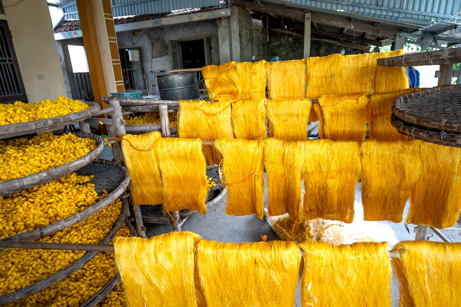 Hanoi Craft Villages: Traditional Crafts Near Hanoi (2026) 1 Silk threads drying in Vietnamese village