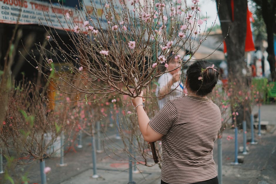 Hanoi in Spring: Weather, Flowers & Travel Tips (2026) 2 Woman holds peach blossom branch during Vietnamese Tet