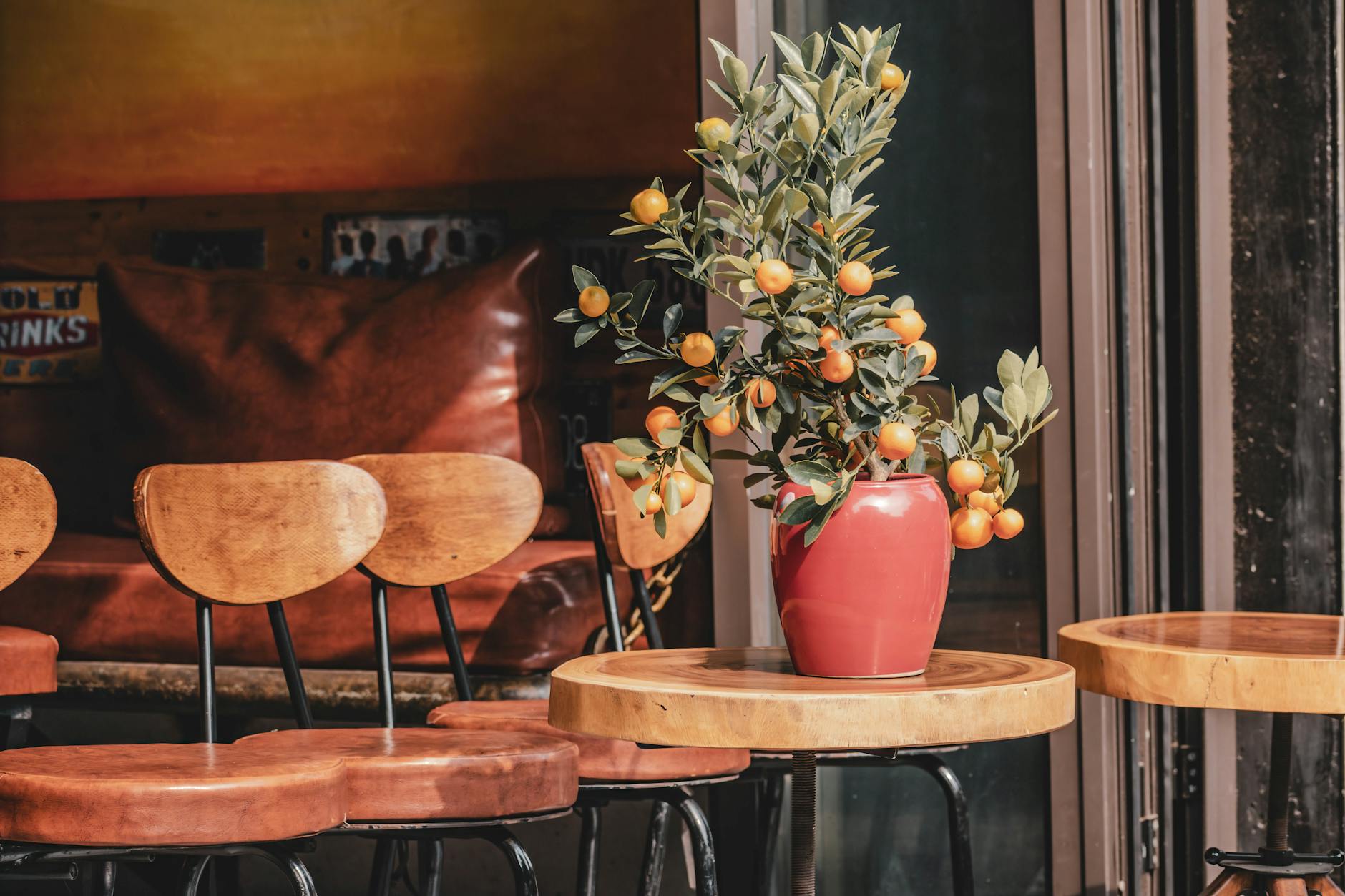 Best Cafes in Hanoi Old Quarter: 12 Coffee & Culture Spots (2026) 5 Warm cafe corner with potted citrus plant on a wooden table