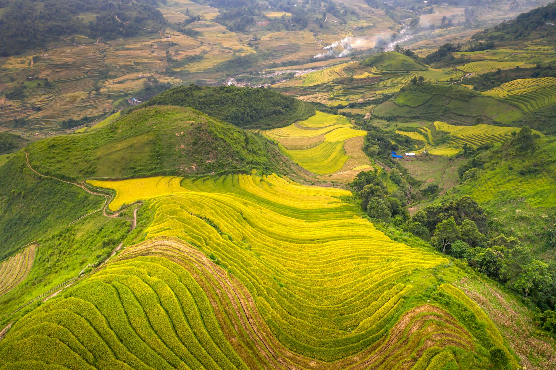 Breathtaking aerial view of vibrant terrace fields in Vietnam