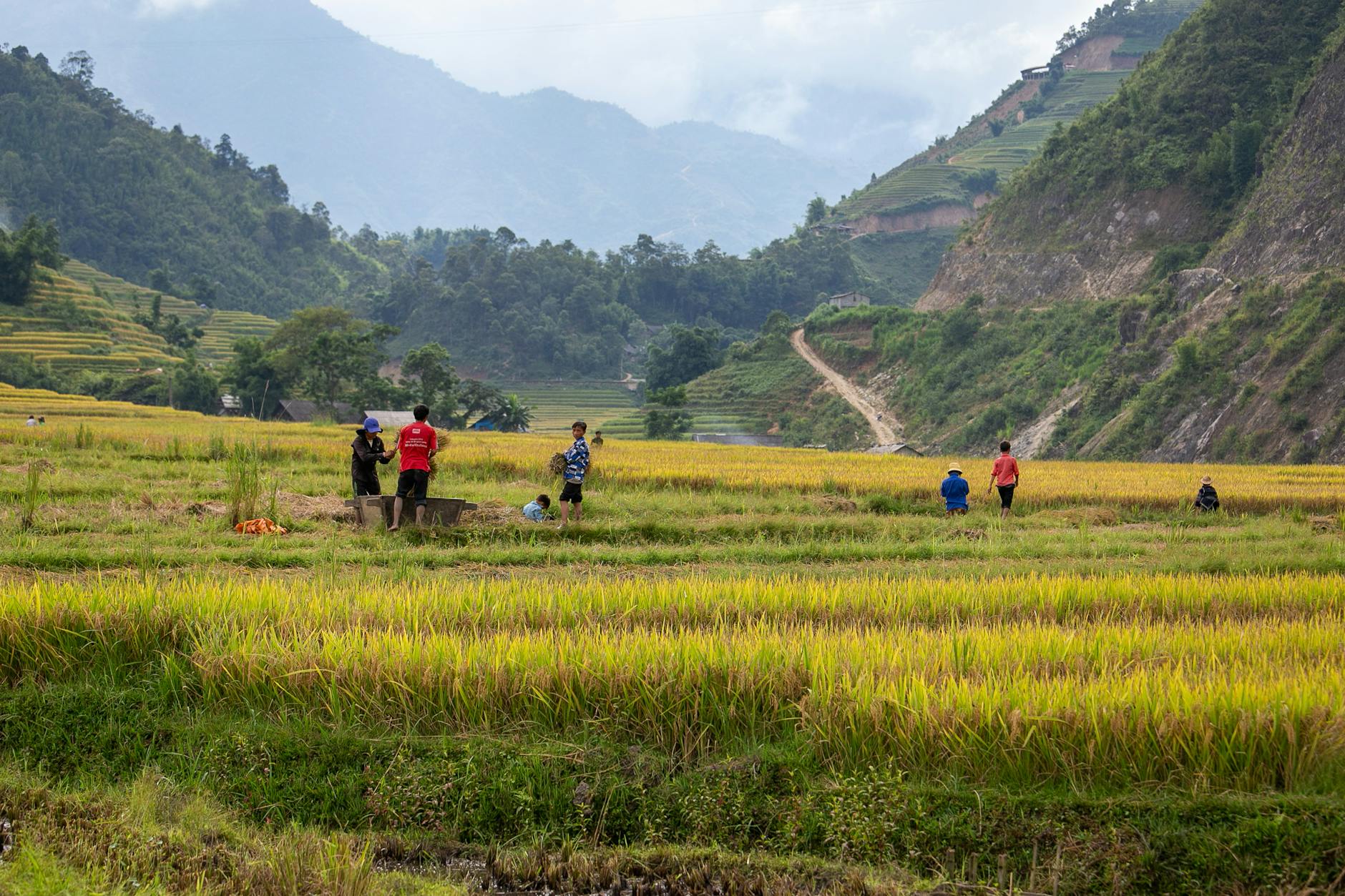 Vibrant rice terraces and scenic landscapes of Lao Cai Vietnam