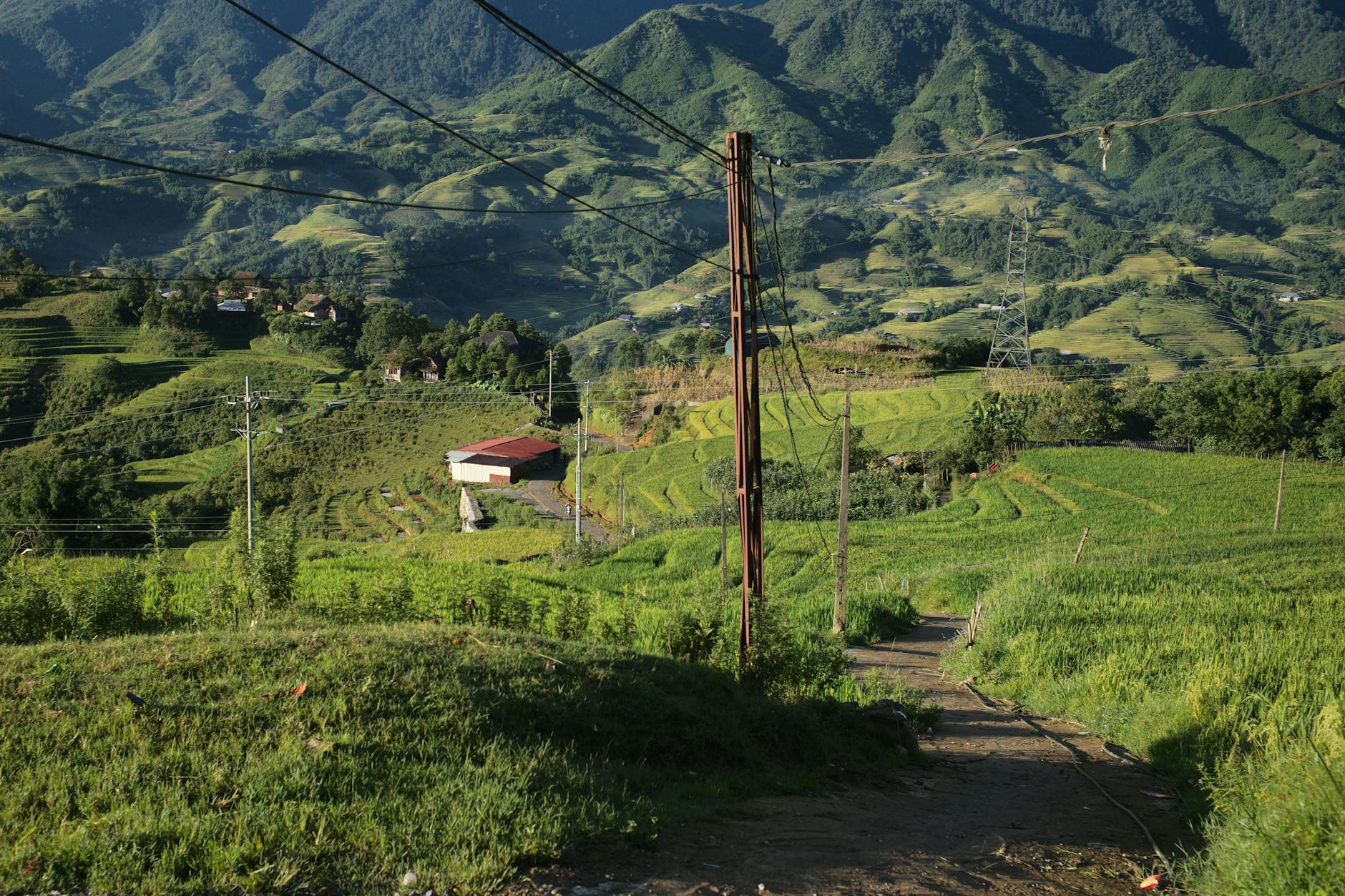 Beautiful terraced rice fields in Sapa Vietnam