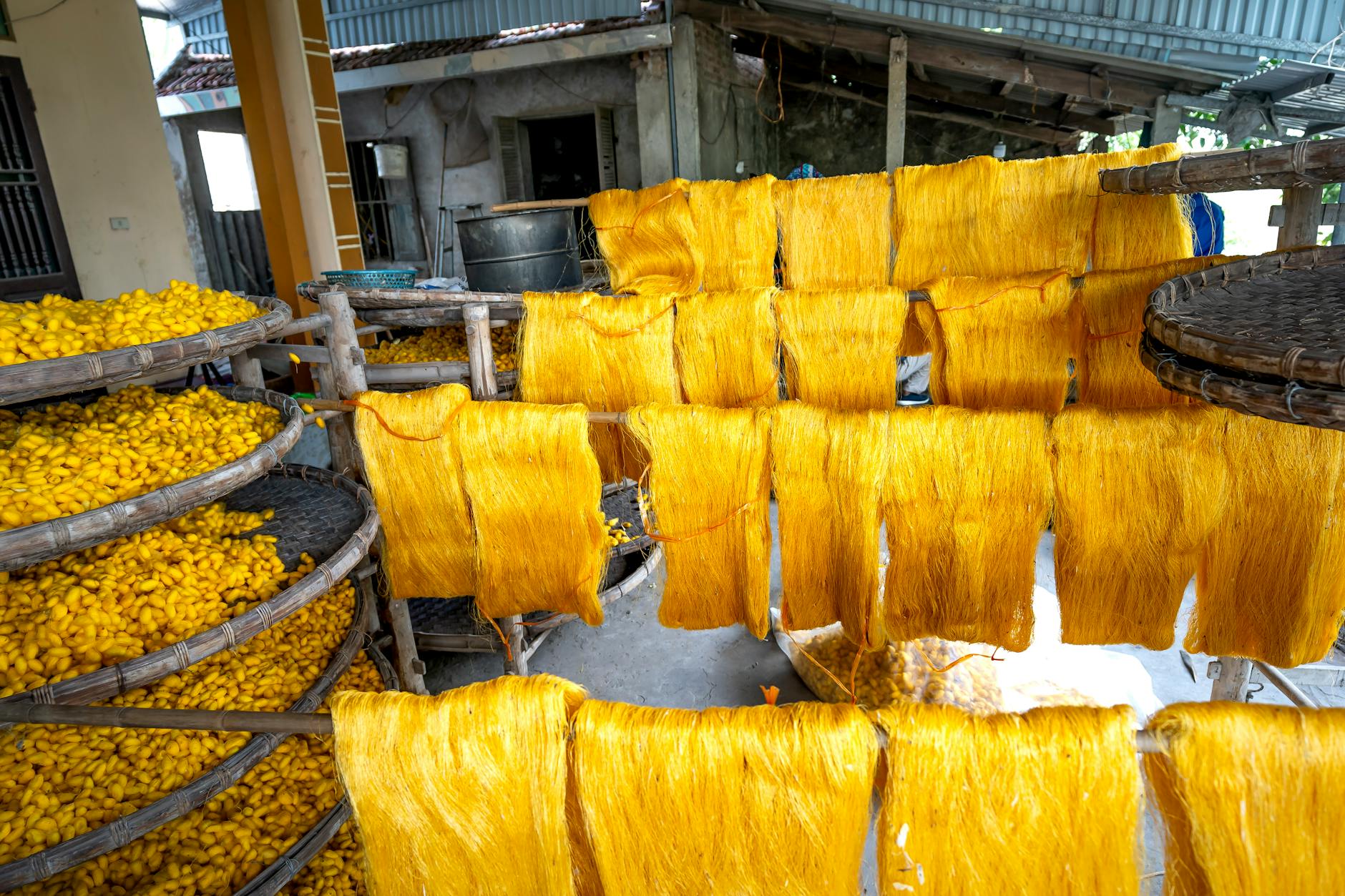 Shopping in Hanoi Old Quarter: Markets & Best Streets (2026) 3 Silk threads drying in a Vietnamese village showcasing craftsmanship