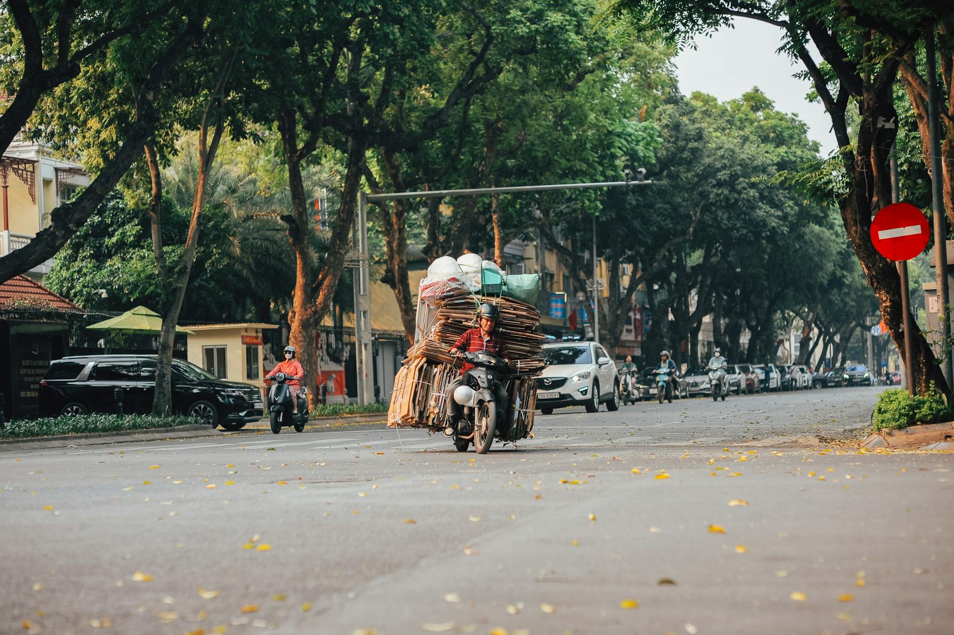 Man riding a heavily loaded motorbike down a city street lined with trees
